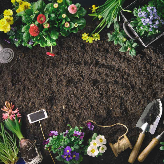 Rapid Building Supplies Organic Bordermix® Topsoil for plants and flowers